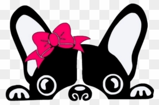 ####girly #cute #sticker #pink #love #heart #flower - French Bulldog Peeking Clipart