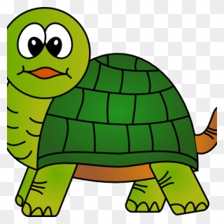 Cute House Hatenylo Com - Turtle Clipart - Png Download