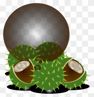 Egg Clipart