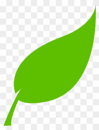 O Que É E Para Que Serve - Tree Leaf Vector Png Clipart