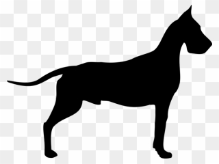 Great Dane Dogue De Bordeaux Old Danish Pointer Poodle - Cc0 Dog Clipart