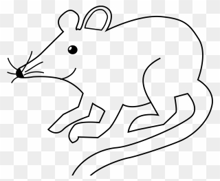 Outline Animal Clipart Black And White - Png Download