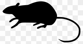 Rat - Transparent Rat Icon Png Clipart