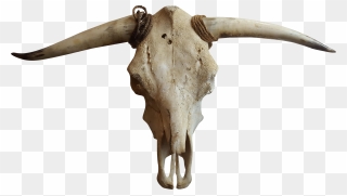 Cows Clipart Bone - Transparent Cow Skull Png