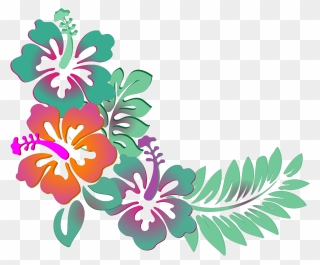 Hawaiian Flower Png Clipart