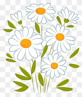 Daisy Clipart - Chamomile - Png Download