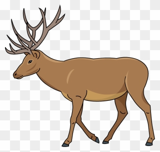 Mule Deer Clipart - Deer Clipart - Png Download