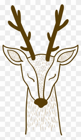Pxe8re Davids Deer Sika Deer - วาด รูป หน้า กวาง Clipart