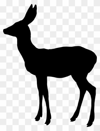 White-tailed Deer Reindeer Elk Moose - Silueta Venado Cola Blanca Clipart