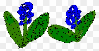 Plant,grass,leaf - Flowering Plant Clipart