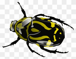 Bug Black And White Clipart