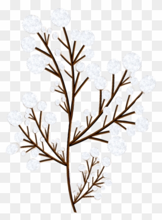 42 - Twig Clipart