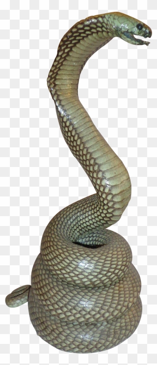 Rattlesnake Reptile King Cobra - Snake Statue Png Clipart