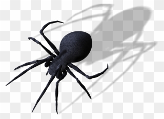 Spider Png Clipart Image - Spider Transparent Png