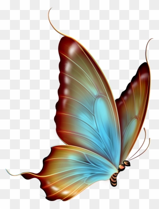 Butterfly Clip Art - Butterfly Images Hd Png Transparent Png