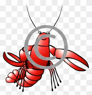 Crayfish Clip Art - Png Download