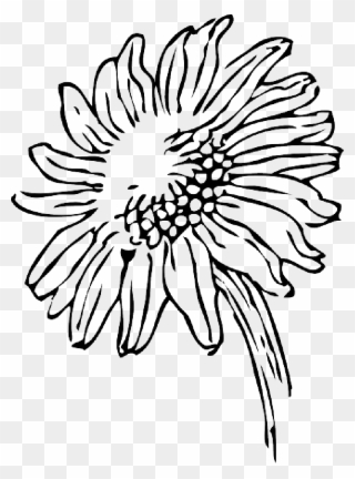 Beautiful Floral Coloring Pages For Kids And Adults - Cartoon Sunflower Black And White Clipart