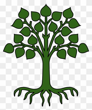 Forced Arbitration Agreements Could Leave Nursing Home - Tree With Leaves And Roots Clipart