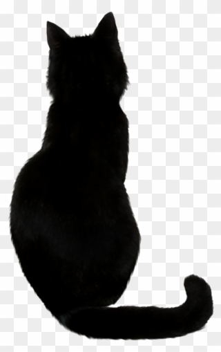 Black Cats Png - Cat Halloween Silhouette Clipart