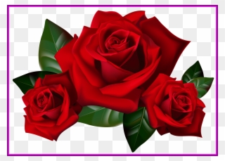 Appealing Bouquet Of Frame Clipart Kid Rose Art Image - Розы Пнг - Png Download