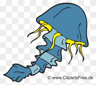 Maneter Utklipp, Bilde, Bilde, Illustrasjon - Qualle Clipart - Png Download