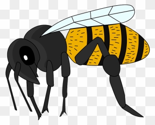 Biene Clipart - Bee Cliparts - Png Download