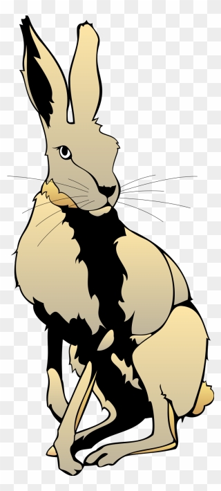 Hare Clipart