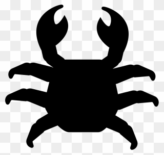 Crab Cake Vector Graphics Computer Icons Illustration - Top View Of Animals Clipart