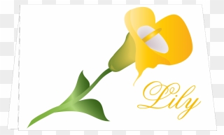 Calla Lily Floral Notes Personalized Clipart