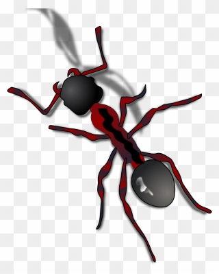 Cartoon Ants Transparent Background Gif Clipart