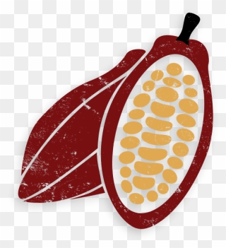 Cocoa Bean Icon Png Clipart