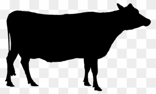 Angus Cattle Texas Longhorn Holstein Friesian Cattle - Silhouette Cow Clip Art - Png Download