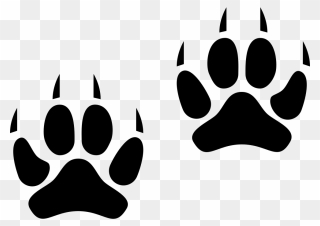 Cat Animal Track Labrador - Lynx Paws Print Png Clipart
