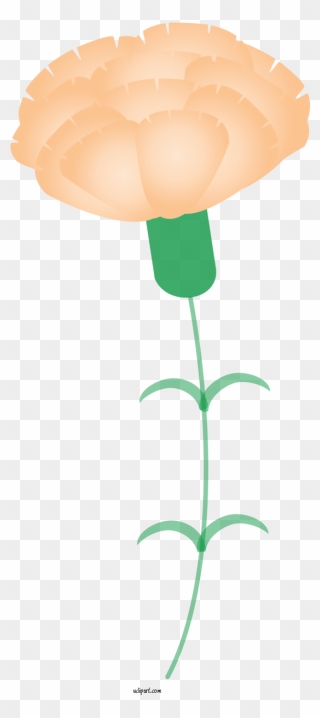 Transparent Holidays Plant Plant Stem Flower For Mothers - Tulip Clipart