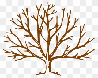 Winter Tree Drawing Easy Clipart