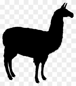 Llama Face Png Black - Llama Silhouette Png Clipart