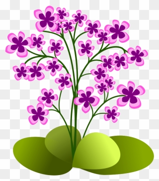 Floral Clipart Greenery - Small Plant Clip Art - Png Download