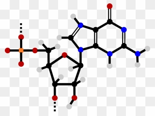 Diagram,line,nucleotide - Atp Molecule Png Transparent Clipart
