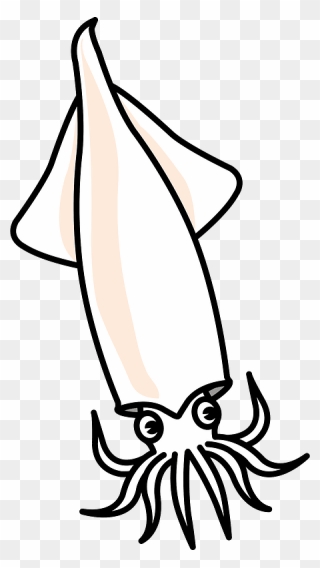 Squid Animal Clipart イカ フリー 素材 イラスト Png Download Pinclipart
