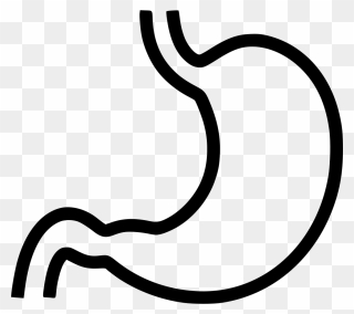 Stomach Clipart