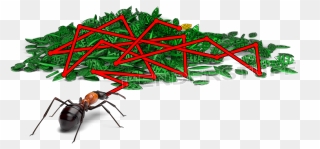 Uuorganized Data Like A Leaves Pile, Ant Hardly Finds - Membrane-winged Insect Clipart