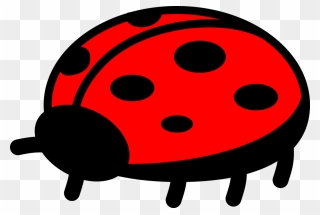 Beetle Ladybird Clip Art - Ladybug Clip Art - Png Download