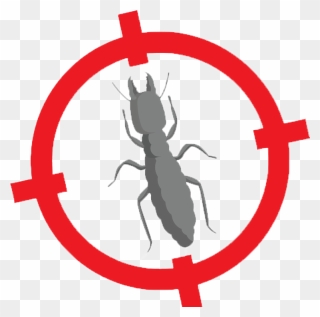 Longhorn Beetle Clipart