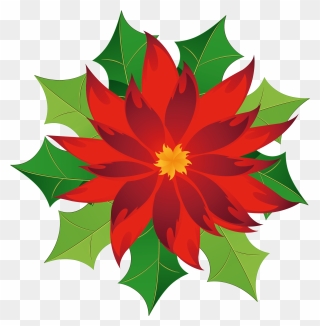 Christmas Poinsettia Clipart - Christmas Flower Clipart Png Transparent Png