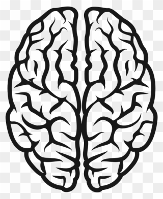 Brain - Brain Clipart Black And White Png Transparent Png