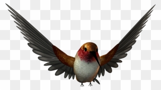 Transparent Free Graphics Images Cliparts - Bird Png High Resolution