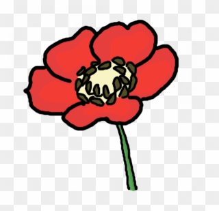 Draw A Poppy Flower Clipart