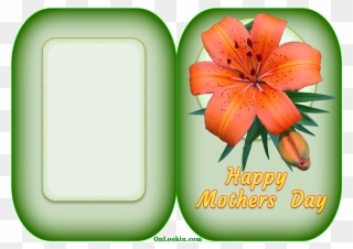 Transparent Mothers Day Flowers Clipart - Mother's Day - Png Download