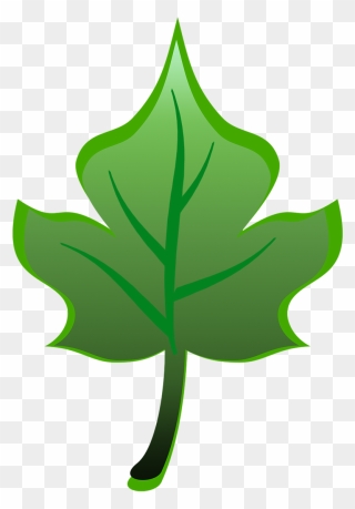 Leaf Clipart