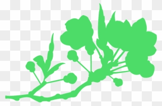 Flower Clipart